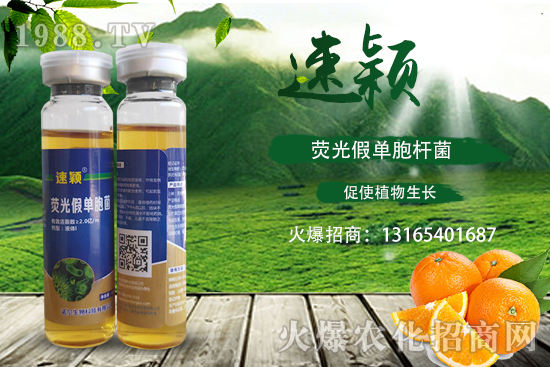 ���ٝ�����Σ��һ���һ����������ٝ�������η�����