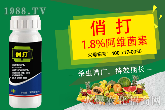 �����xΣ������ԓ��ô�����������x����ˎ�����]��