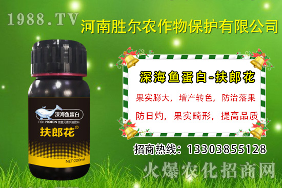 2020��7��13�ս��Շ���(n��i)���@�r(ji��)�����鼰�������u