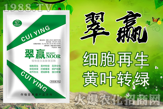 �ļ���ʩ�rˎ