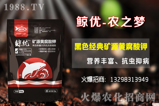 �����ķNֲ�ܶ���������Ʒ�N�x�񼰷Nֲ������