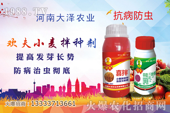 С����N����Ҋ��������Щ������x��С����N����