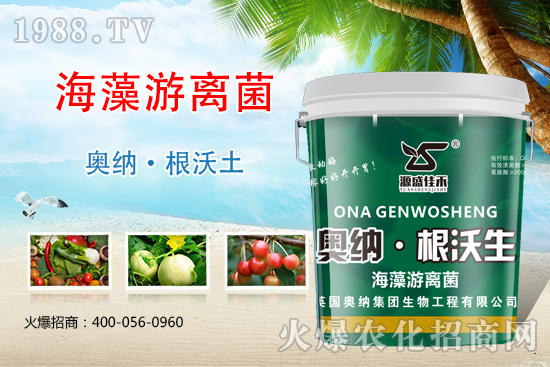 ���ӱ��W�{����Ʒ���u��������������o����ע��I�B(y��ng)�·�����