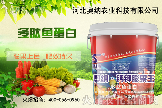 ���ӱ��W�{����Ʒ���u��������������o����ע��I�B(y��ng)�·�����