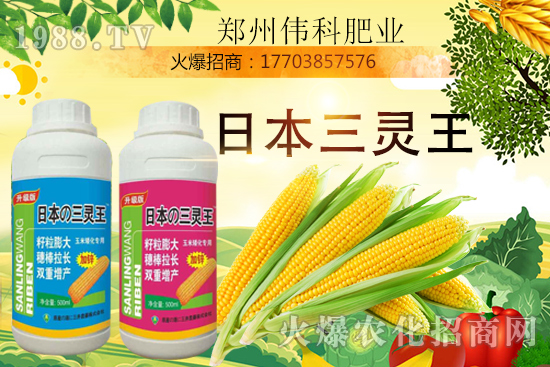 ���׿����״κ������׿����r(sh��)�g�����׿����a(ch��n)Ʒ�x����