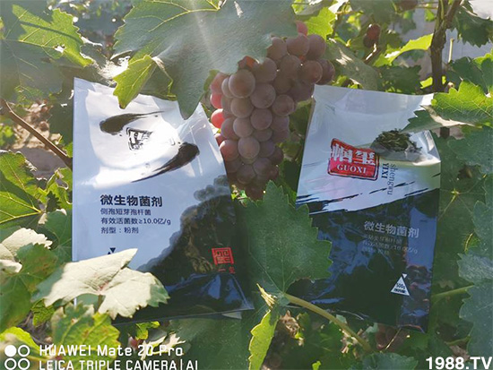 �îa(ch��n)Ʒ����������һ�t���΢������������t���͑��挍(sh��)������