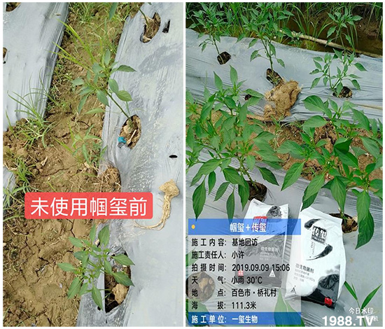 �îa(ch��n)Ʒ����������һ�t���΢������������t���͑��挍(sh��)������