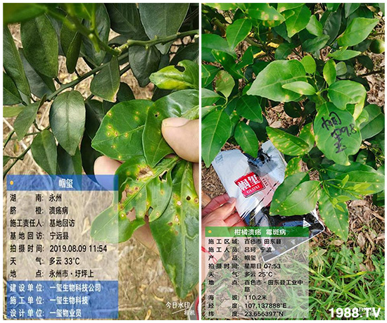 �îa(ch��n)Ʒ����������һ�t���΢������������t���͑��挍(sh��)������