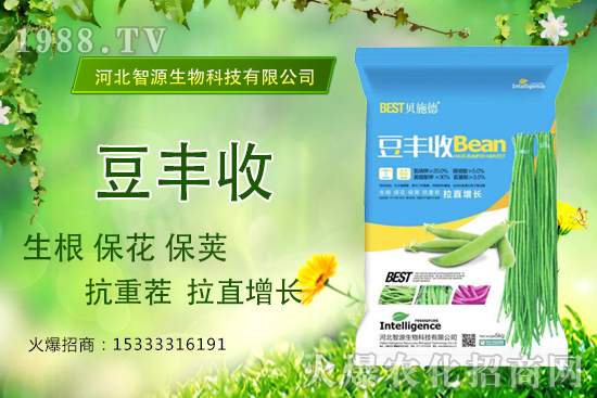 ���ˡ����S�ա���������ֱ���L�a���ߣ����S����ʲô��(y��u)����