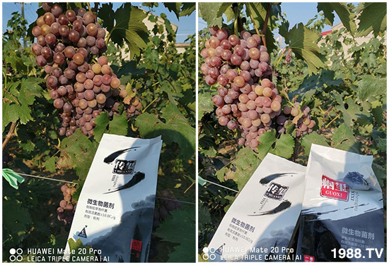 �îa(ch��n)Ʒ����������һ�t���΢������������t���͑��挍(sh��)������