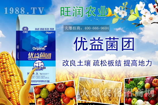 �����ЙC(j��)����ʲô�ʣ������ЙC(j��)�ʵă�(y��u)�����c�������ϵą^(q��)�e��