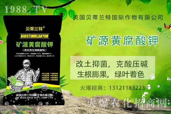 ���ÿ���ô�B(y��ng)�����ÿ��B(y��ng)ֳ������ע�������