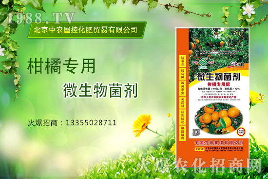 柑橘怎么施肥?施什么肥?柑橘專用肥有哪些?