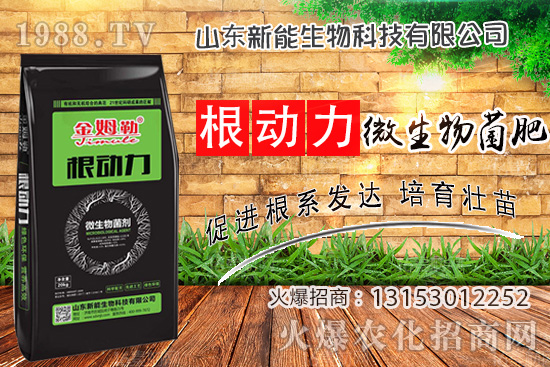 ����������ʲô����ʹ�á�΢������ʡ���ʲô��(y��u)��(sh��)��