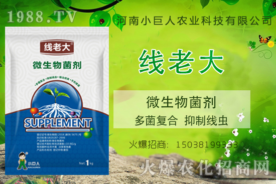 ���Y���xզ���������Y���x����-�����ϴ󡱶���ͺ������ƾ��x��