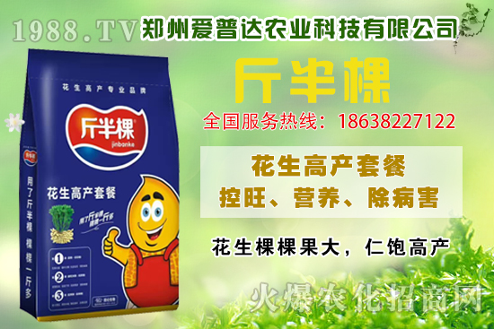 花生高產(chǎn)施什么肥?怎么施肥?花生高產(chǎn)施肥產(chǎn)品選擇!