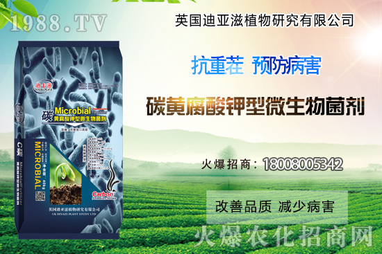 作物重茬危害難解決?這些解決措施你了解過嗎?