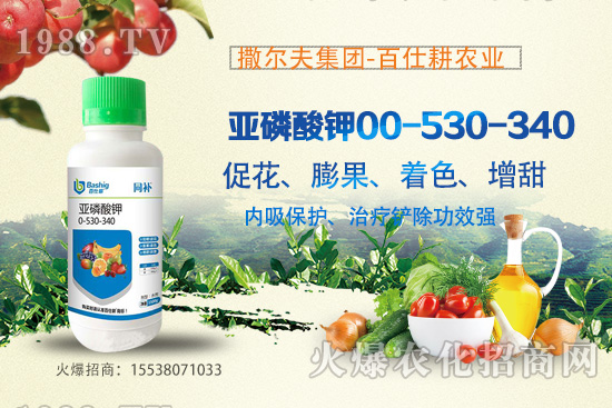 �I�B(y��ng)�������A(y��)�������������������@ôţ���������������ԭ����