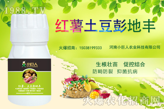 ����С������ô������˾��ʲô��(y��u)�������ƮaƷ����Щ��