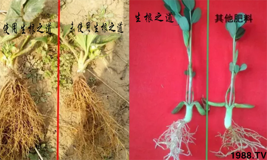 �����ϵ�����a(ch��n)������������֮���������¸����������a(ch��n)�o(w��)�n��