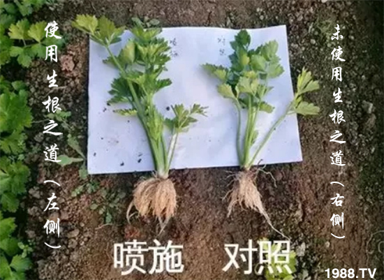 �����ϵ�����a(ch��n)������������֮���������¸����������a(ch��n)�o(w��)�n��