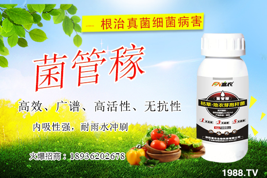 ���䝢��Σ����ʲô�����䝢�������Ά�������ˎ������Щ��