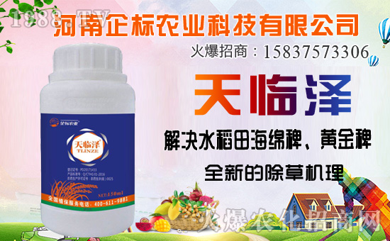 ���ݰ����ݙC�������ݰ��ܷ�����Щ�ݣ�ʹ��ע���������Щ��