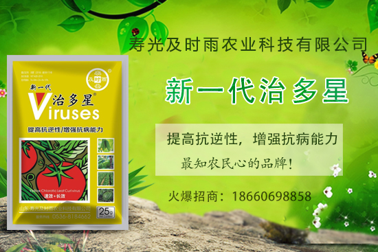 番茄病毒病你知道幾種?怎樣合理防治番茄病毒?(內(nèi)附防治方法)