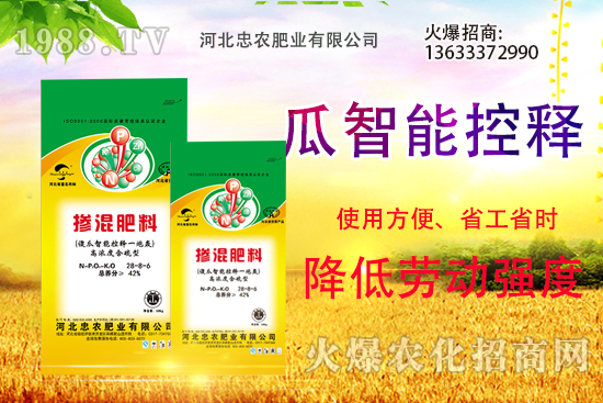 �������������Щ������ʵ�ʹ�÷�����ԓ����xُ��