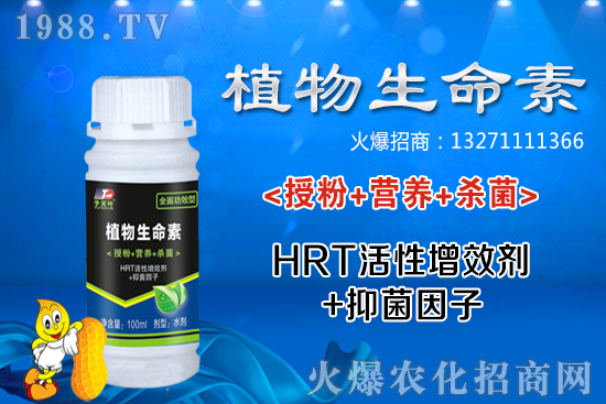 С���r(ji��)��