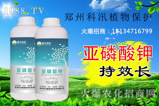 ������⛹�Ч�������C������Щ������������õĺ������