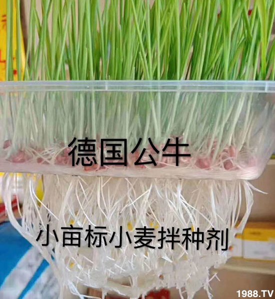 С����N�����a(ch��n)��С����N������x����С����N��Ʒ���x����