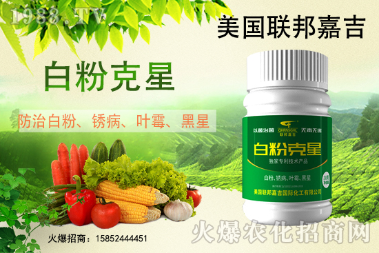 �׷۲����݁��u�����Ͱl(f��)������β���ô������׷۲������]��