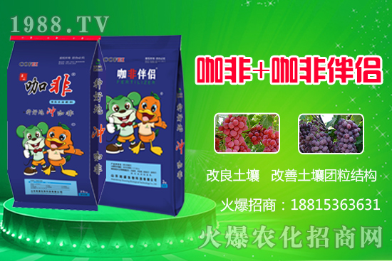 種好地沖好肥,解決作物生長難題,“咖非+咖非伴侶”開創(chuàng)有機(jī)水溶肥新時代!