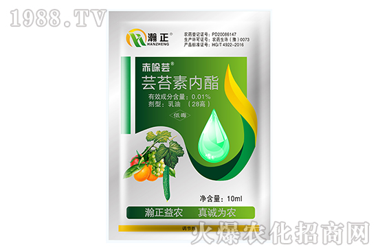 �|̦�؃�(n��i)����ʲô��(y��u)�����|̦�؃�(n��i)����(f��)�䷽������Щ��