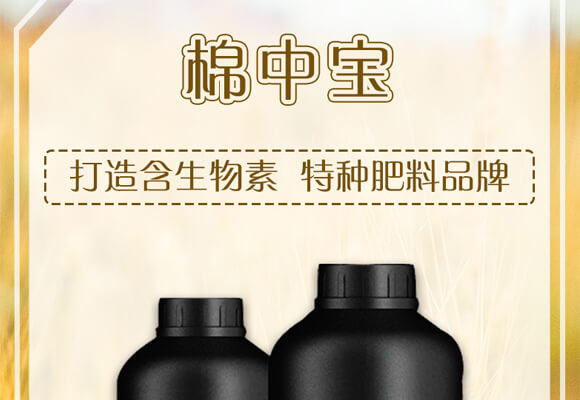 ���Ќ�-������_01