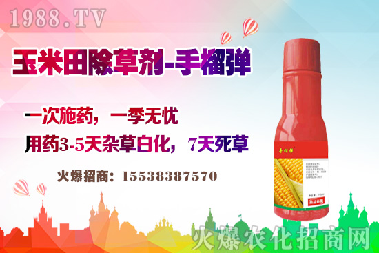 ������������v�������׳��݄��@�Ӵ򣬲��L(zh��ng)�s�ݲ�������