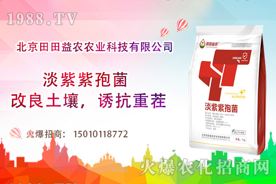 ���t��������c����Щ�����t���ļ���ι�����