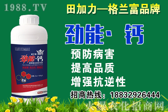 2020���}��ʲô�r��N�����}���NֲҪע����Щ���}��