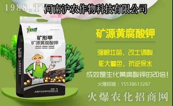 �Ϲ����L���Ďׂ��^�̣��Ϲ�ʩ��Ҫ�c����ʲô���Ϻ���