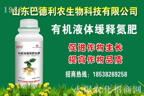 ���������Xһ�����Nֲǰ����������Nֲ�ɱ�������������