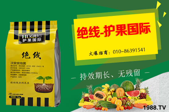 �޻���ʲôҪ�����������Щ��̎���޻�������g�������h��