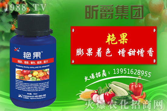 獼猴桃生長(zhǎng)需要哪些元素?八月獼猴桃管理技術(shù)!