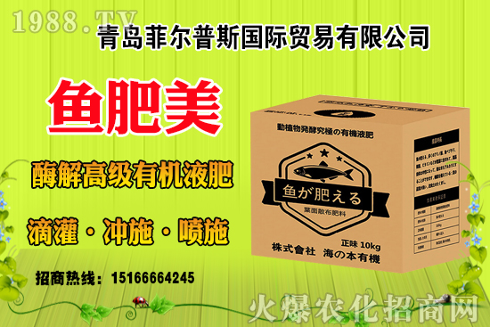 ���׽Y(ji��)��(sh��)����ɶԭ�����з��a(b��)�Ȇ������׽Y(ji��)��(sh��)�������ƴ�ʩ��