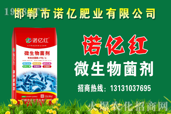 ������ʵķN�����Щ����������c��Щ���ϴ�nЧ������