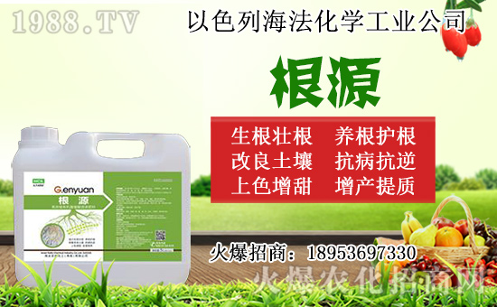 �o������ôǤ�����o����Ǥ��r�g��Ǥ�己ֳ������