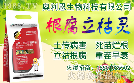 ���[���ʩ�ʣ����[�Nֲ���������N�r(sh��)�g��