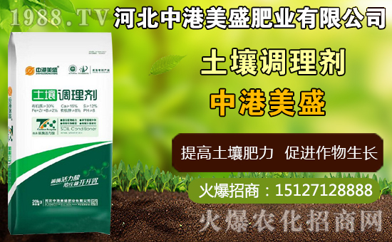 ��ˎ̫�Ӆ�ʲô�r(sh��)�g�Nֲ��̫�Ӆ�ʲô�r(sh��)���ի@���ã����Nֲ���g(sh��)��