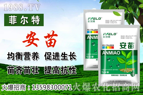 ���\�����L���h(hu��n)����Ҫ�������\���Nֲ�����ռ��g(sh��)��