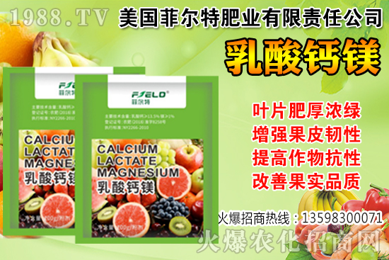 ���Ѳ��պ���α��r�����Ѳ��պ���@ע�����(xi��ng)��